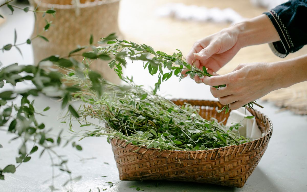 How to Store Fresh Herbs So They Last!